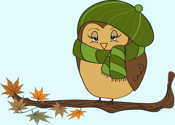 Fall Owl Clipart
