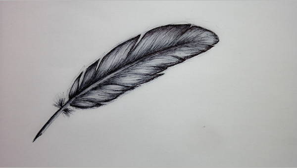 Illustration Simple Feather Drawing Stock Illustration 1290762175 |  Shutterstock