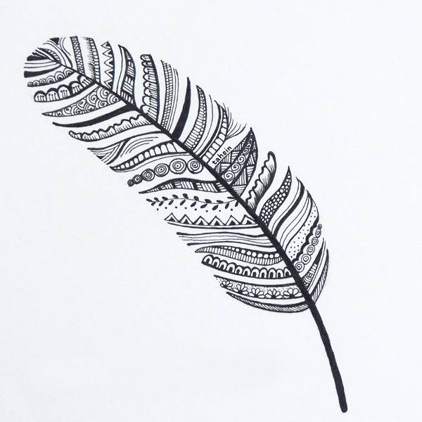 Feather Line Drawing