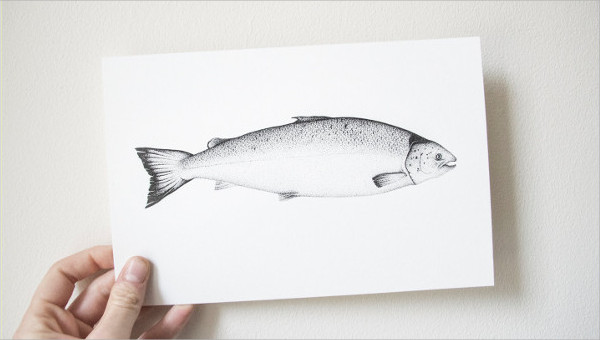 9+ Fish Drawings