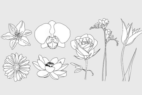 Free Free 98 Flower Outline Svg SVG PNG EPS DXF File