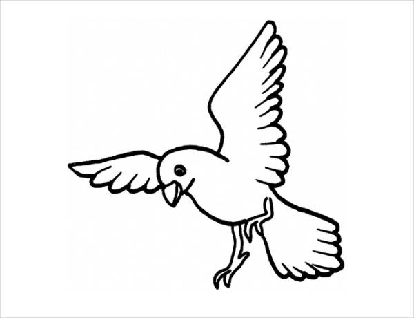 20+ Bird Coloring Pages - JPG, AI Illustrator Download