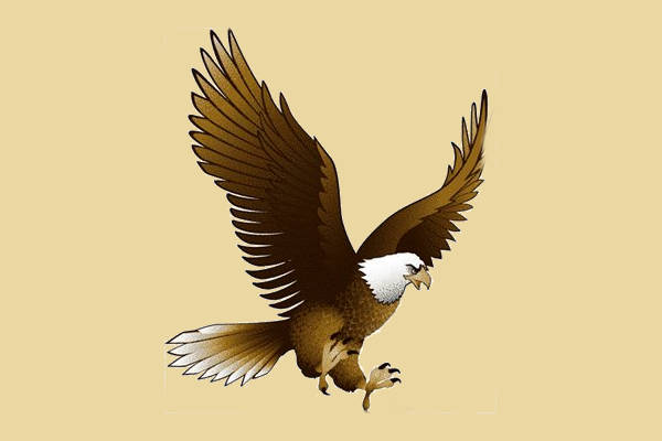 soaring eagle clip art