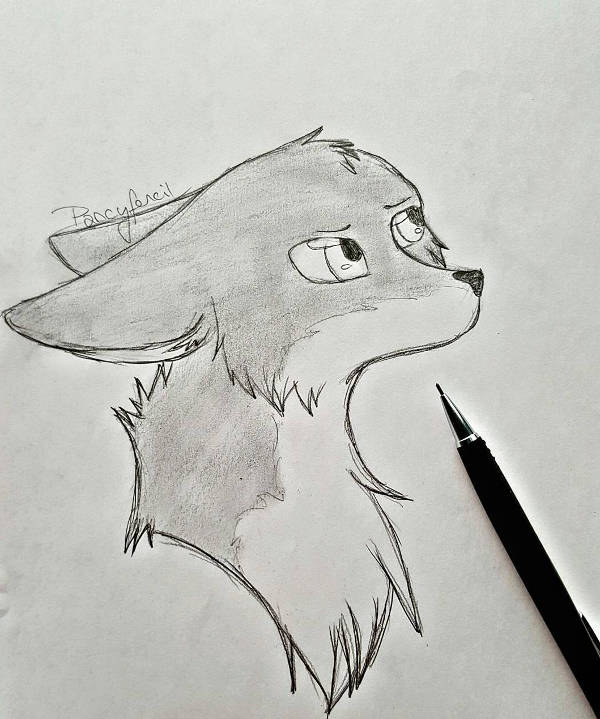 Fox Cartoon Drawing