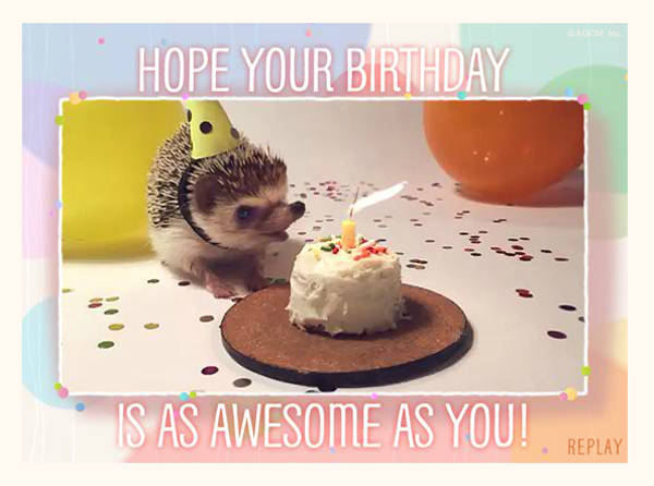 Free Funny Animated Birthday Card