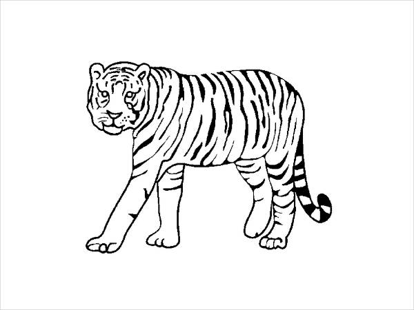 Free Tiger Coloring Page