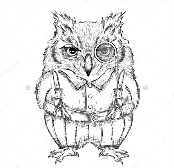 Funny Owl Pencil Drawing