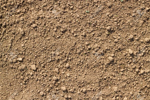 Garden Soil Texture