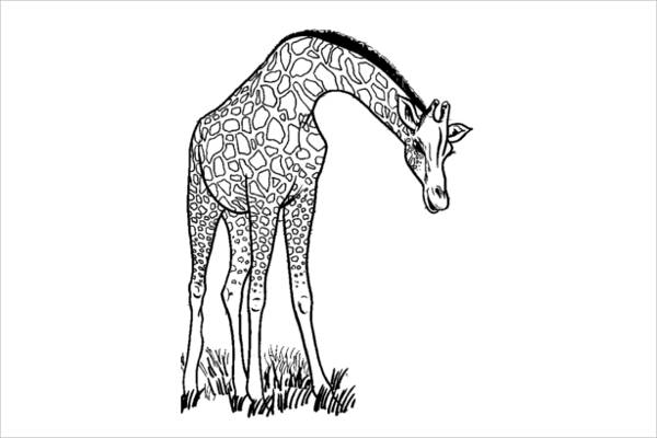 Giraffe Coloring Page for Adults
