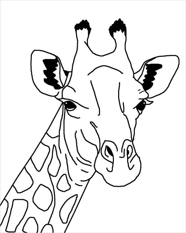 Giraffe Outline Drawing