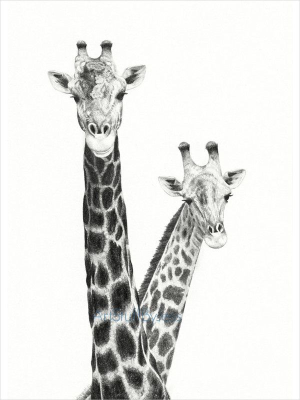 FREE 7+ Giraffe Drawings in AI