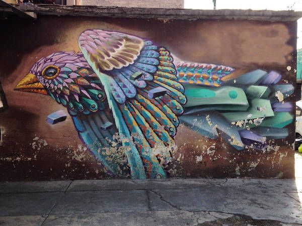 Graffiti Bird Art