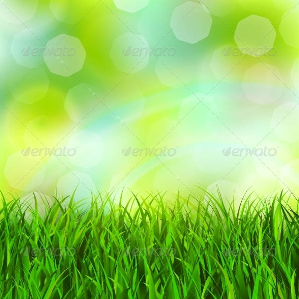 Grass Background Vector