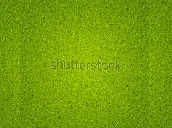 Grass Texture Background