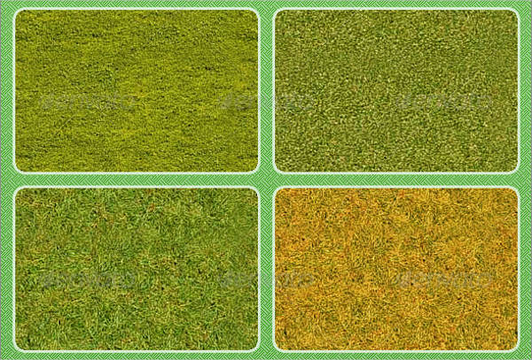 Grass Texture Photoshop