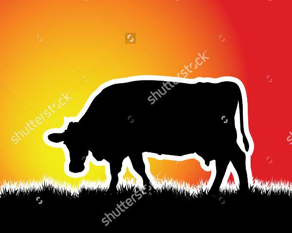 Grazing Cow Silhouette