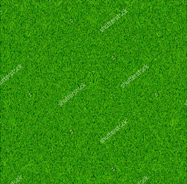 Green Grass Vector