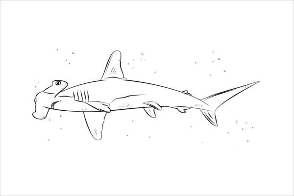 Hammerhead Shark Coloring Page