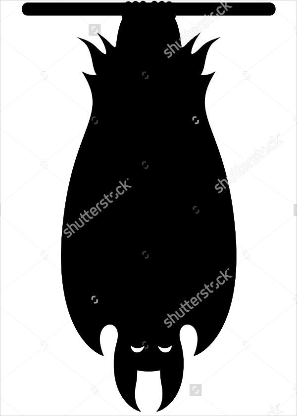 Hanging Bat Silhouette