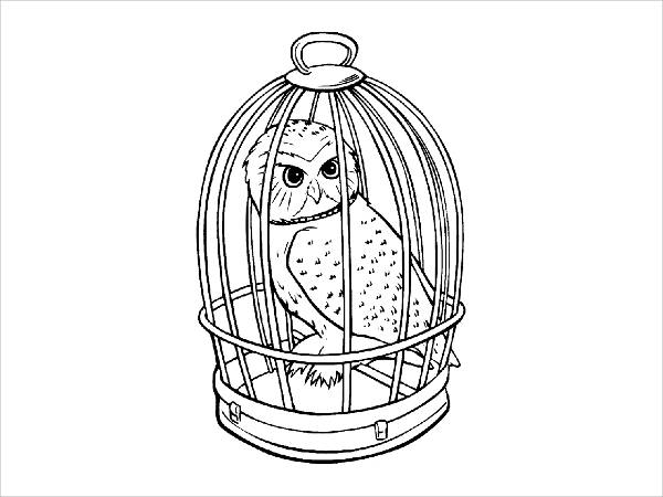 Harry Potter Owl Coloring Page