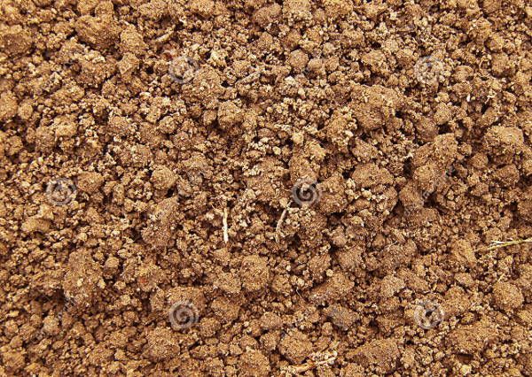 High Resolution Soil Texture