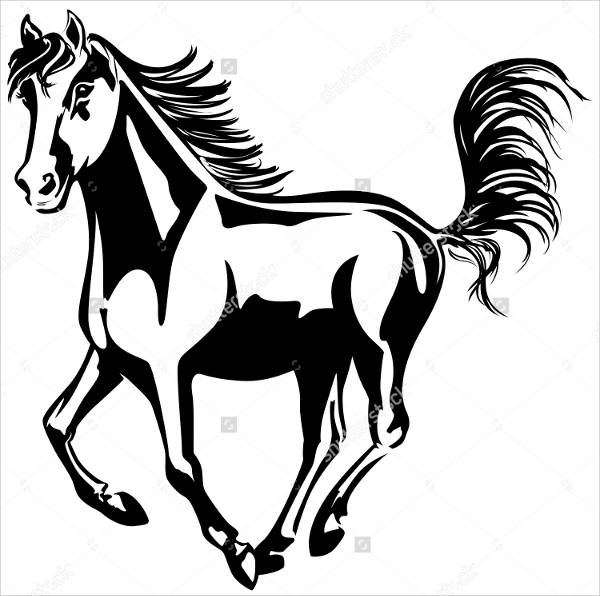 Horse Black and White Drawing