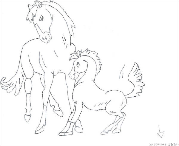 Horse Cartoon Drawing