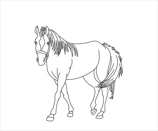 Horse Coloring Page For Free