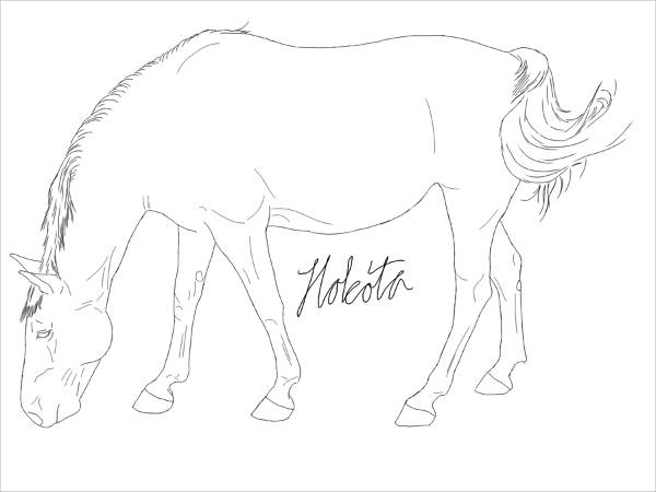 Horse Grazing Drawing