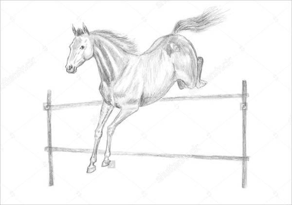 Horse Jumping Drawing