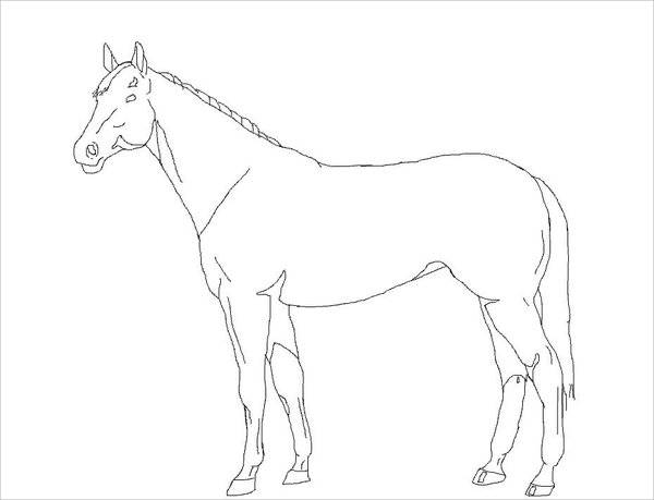 horse-drawing-out-line-horse-outline-drawing-dressage-vectors-233