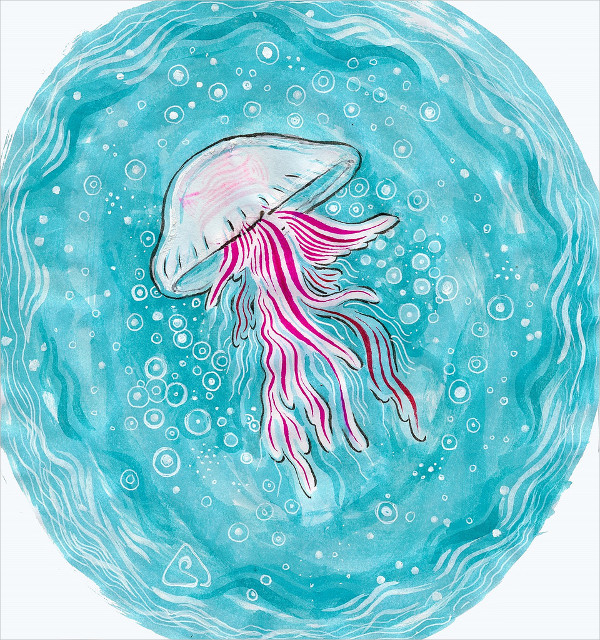 Jelly Fish Drawing