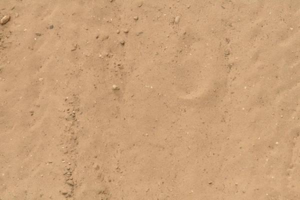 Light Brown Sand Texture