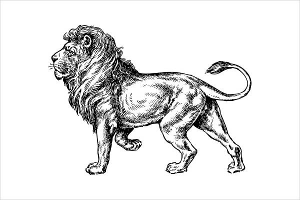 Lion Clipart Free Vector