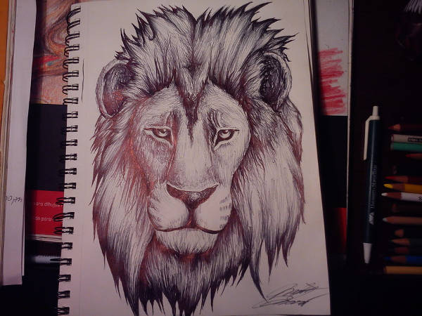 Lion Drawing Tattoo