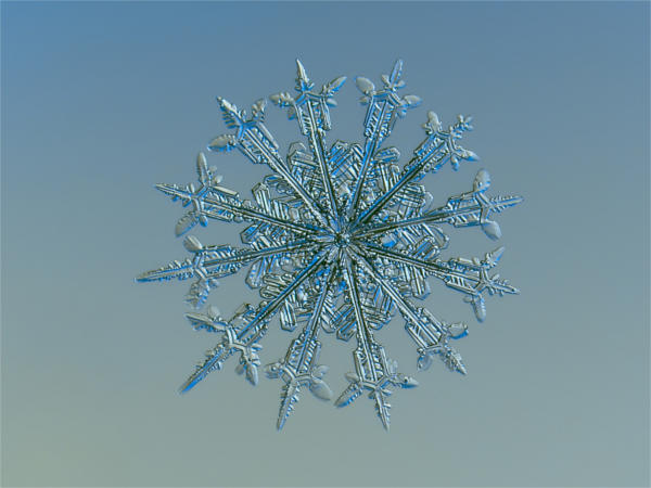 Macro Snowflake Photography