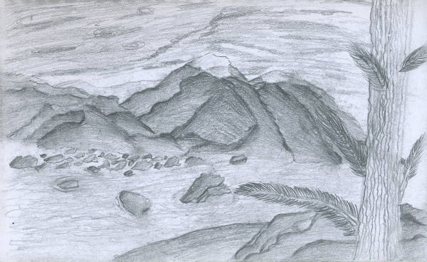 Nature Sketch Drawing