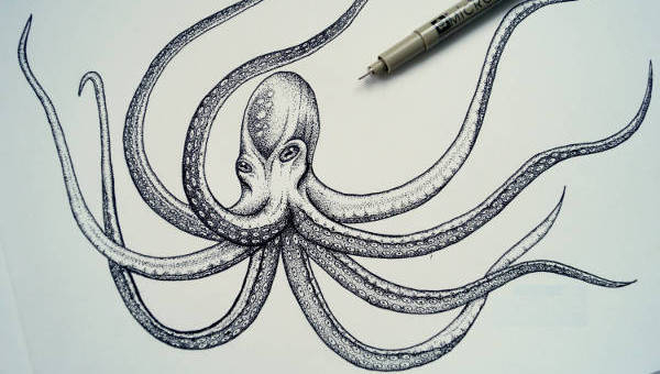 How to Draw an Octopus – Step by Step | SketchBookNation.com