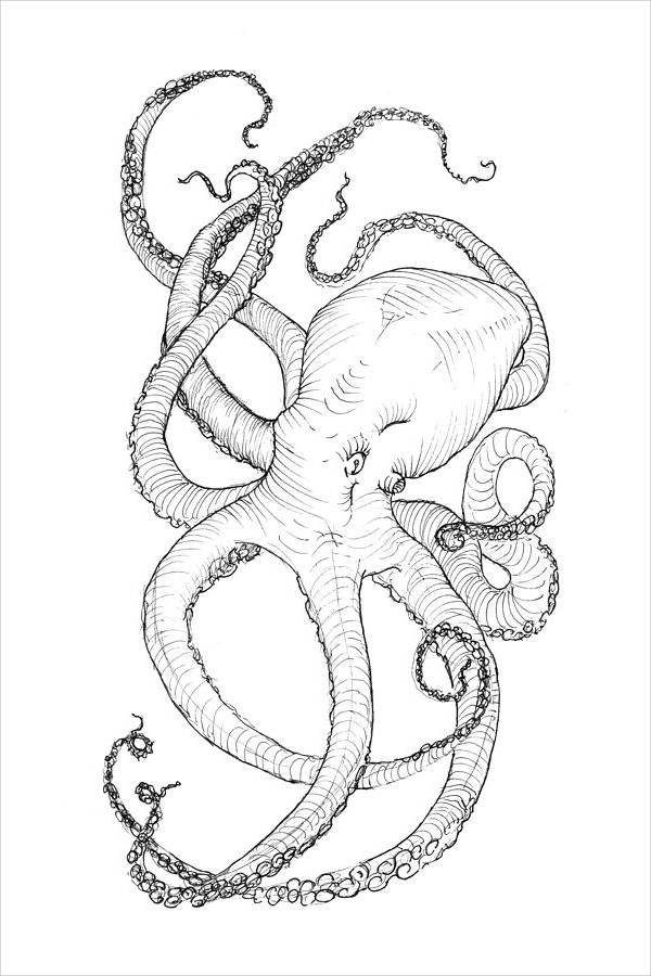 Octopus Tentacles Drawing