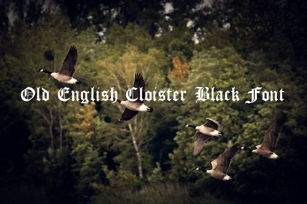 Old English Cloister Black Font