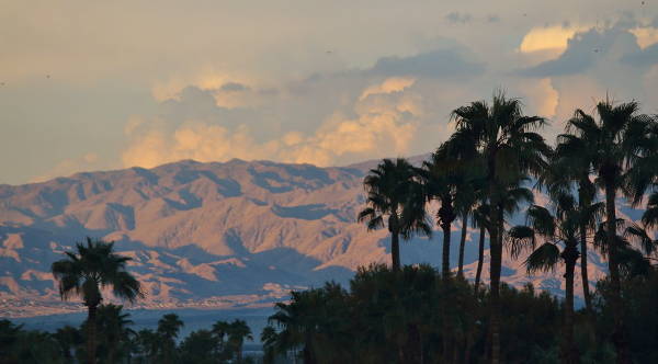 Palm Springs Image