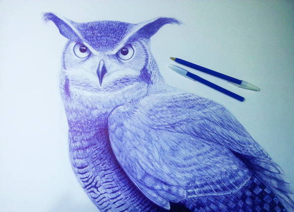 Pen Realistic Drawing