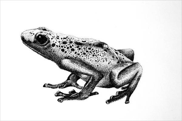 FREE 8+ Frog Drawings in AI