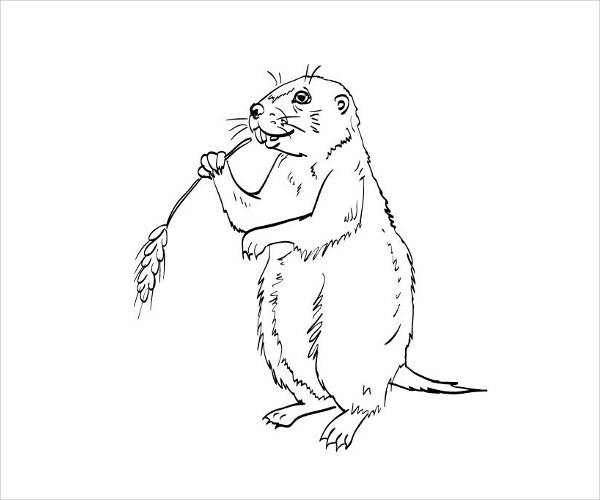 Prairie Dog Coloring Page