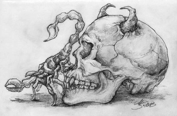 Pretty Skull Drawing