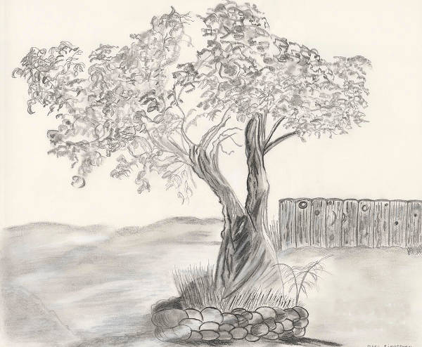 Pretty Tree Drawing