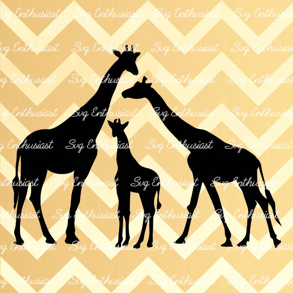 Download FREE 8+ Giraffe Silhouettes in Vector EPS | AI