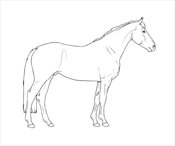 Printable Horse Coloring Page