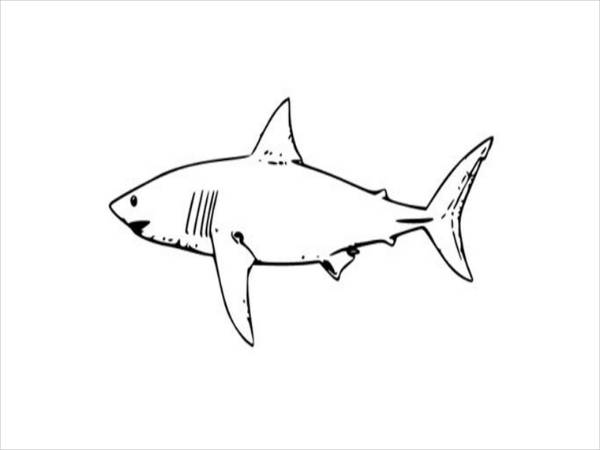 FREE 9+Shark Coloring Pages in AI