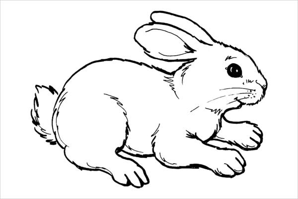 free 9 bunny coloring pages in ai